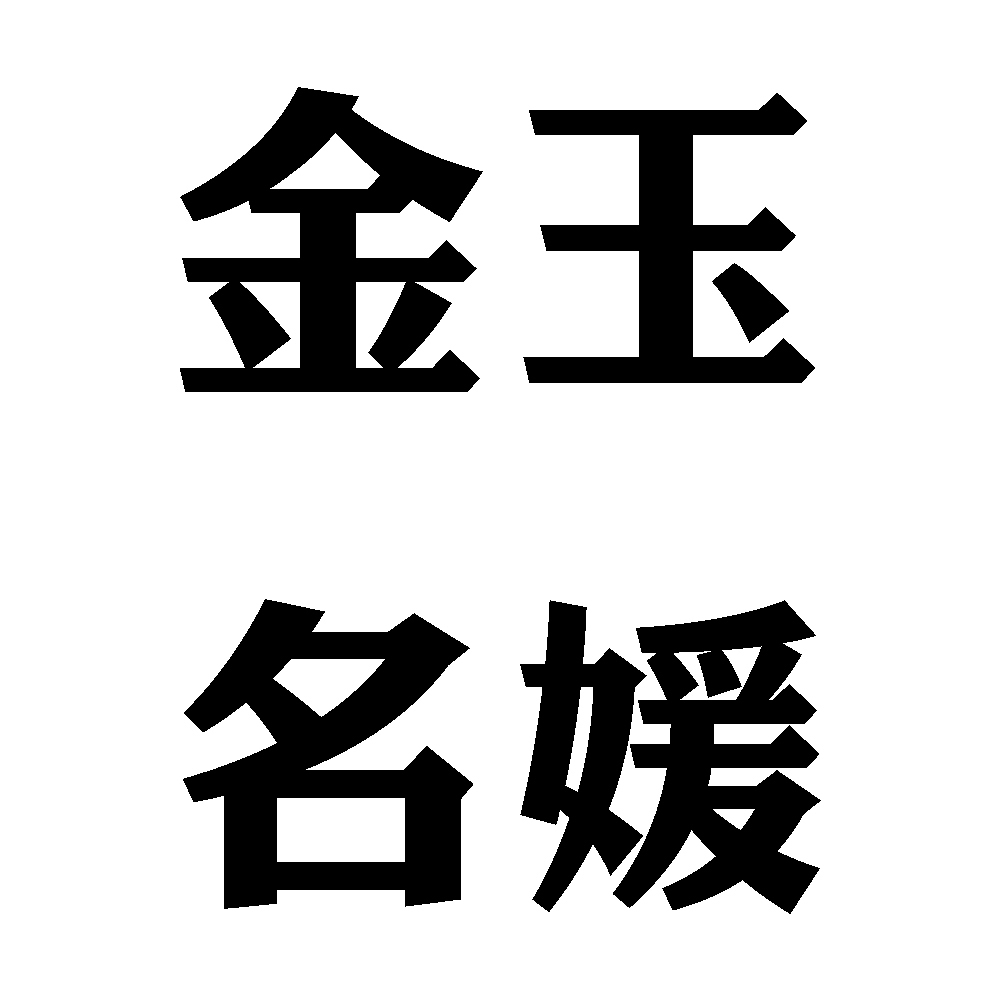 목걸이 瑪瑙珠串墜瑪瑙愛心項鍊 / 黑色
